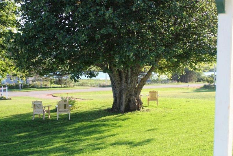 Montgomery Inn Ingleside Park Corner المظهر الخارجي الصورة